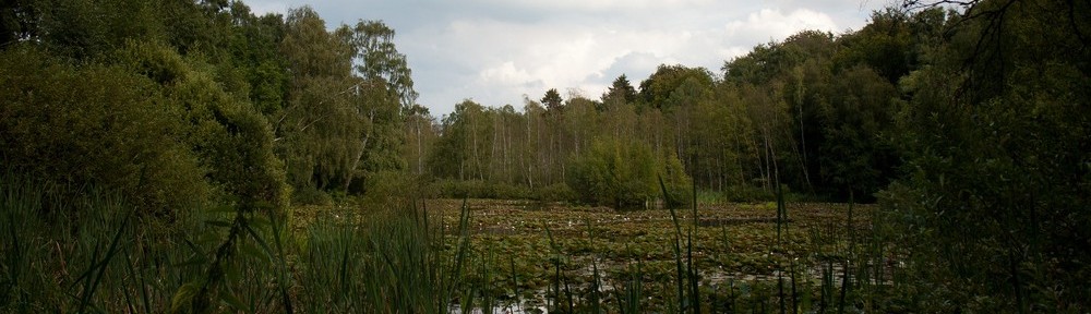 Paul Bergsøe Kollegiet